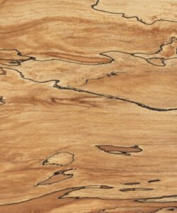 Spalted Grain Texture